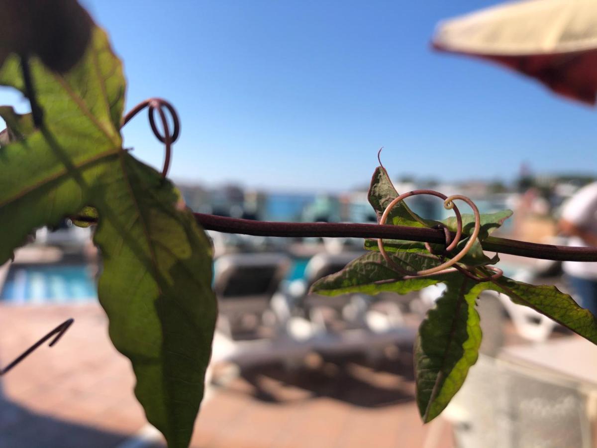 Hotel Astoria Park Lloret de Mar Exteriör bild